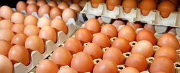 Ako skontrolovať, či je vajíčko zhnité?
